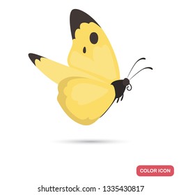 Spring butterfly color flat icon for web and mobile design