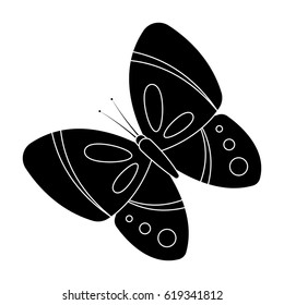 Spring butterfly. Easter single icon in black style vector symbol stock illustration.
