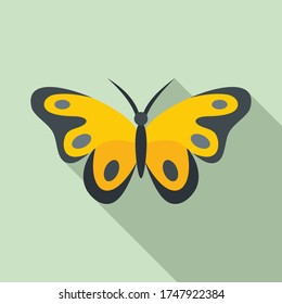 Spring butterfly icon. Flat illustration of spring butterfly vector icon for web design