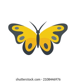 Frühlingsschmetterlingsymbol. Flache Illustration des Federschmetterlings, Vektorsymbol einzeln auf weißem Hintergrund
