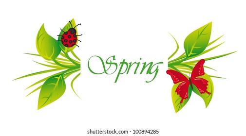 spring with butterfly and ladybug over white background. vector