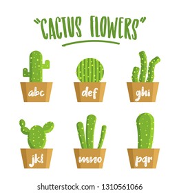 Spring Cactus Flowers Background Flat Design