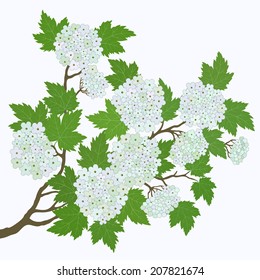 Spring card with abstract leaves and flowers