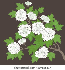 Spring card with abstract leaves and white flowers