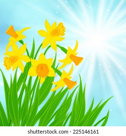 Spring card background with bouquet of daffodil flower over blue clean sky with bright sun lights. Vector illustration for soap package, mothers day postcard, Easter or seasonal sale.
