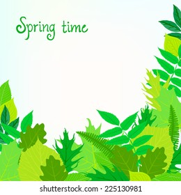 Spring card background with green leaves and foliage over blue sky with bright sun. Vector illustration for soap package, mothers day postcard or seasonal sale.