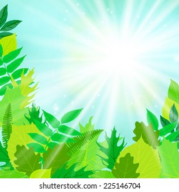 Spring card background with green leaves and foliage over blue sky with bright sun. Vector illustration for soap package, mothers day postcard or seasonal sale.