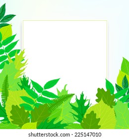 Spring card background with green leaves and foliage. Vector illustration for soap package, mothers day postcard or seasonal sale.