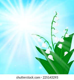 Spring card background with lily of the valley flowers and soft sun lights. Vector illustration for soap packaging, or mother's day postcard