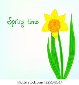 Spring card background with one daffodil flower. Vector illustration for soap package, mothers day postcard, Easter or seasonal sale.