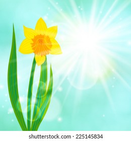 Spring card background with one daffodil flower. Vector illustration for mothers day postcard, Easter or seasonal sale.