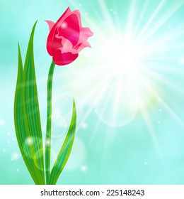Spring card background with one tulip flower. Vector illustration for mothers day postcard, Easter or seasonal sale.