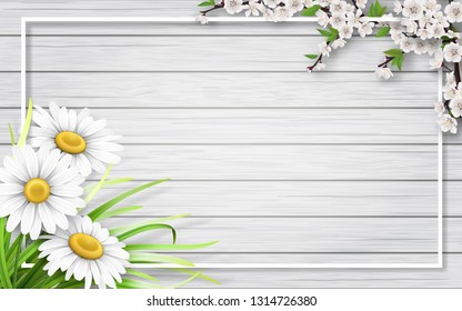 Spring card with chamomiles, blooming branch and grass on wooden background.  Background for invitation, discount offer or flyer. Realistic detailed vector template.