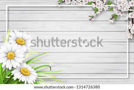 Spring card with chamomiles, blooming branch and grass on wooden background.  Background for invitation, discount offer or flyer. Realistic detailed vector template.