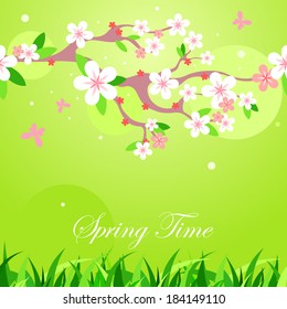 Spring card with cherry blossom over green background