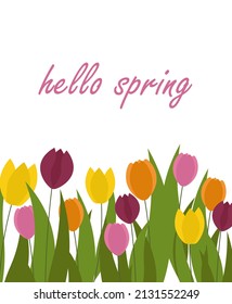 Spring card with colorful tulips and an inscription. Vector illustration isolated on white background. For use in cards, invitations, leaflets and flyers, invitations, birthdays, weddings, holidays.