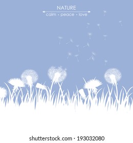 Spring card with dandelions on blue background