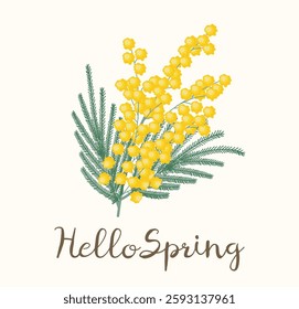 a spring card with flowers and mimosa. With the inscription "Hello Spring". A branch with flowers. The symbol of spring.Bouquet.