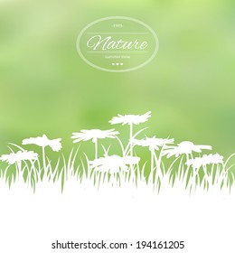 Spring card with flowers on green blurred  background