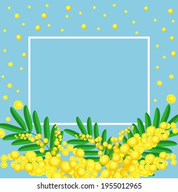 Spring card with a frame of mimosa on a blue background