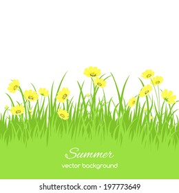 Spring card with grass and flowers on white background