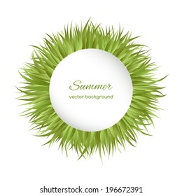 Spring card with grass  on white background