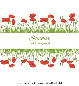 Spring card with grass and poppies   on white background