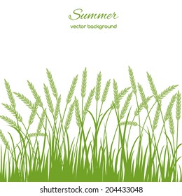 Spring card with grass and spikelets on white background