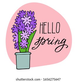 Tarjeta de primavera con jacinto. Ilustración vectorial hecha a mano. Muelle de Adiós con letras de mano.