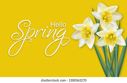 Spring card narcissus flowers bouquet on yellow background Vector realistics