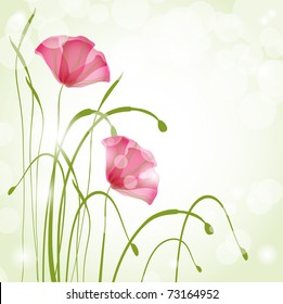 Spring card with poppies