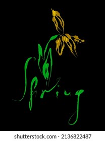 Spring card, print or poster. Unique lettering and spring flower. Sketchy script .Vector illustration.