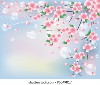 Spring card with sakura. vector illustration