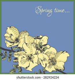Spring card template with dog-rose flower. Retro eco style