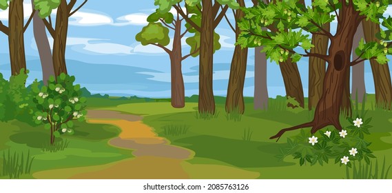 Spring cartoon panoramic landscape with blue sky and thick trunks of old trees and wood anemone flowers in grove