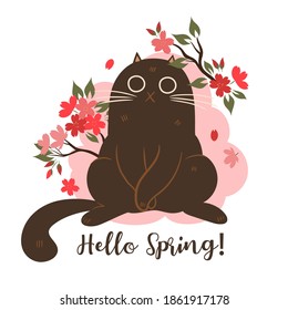 Spring cat with cherry blossoms on white background. inscription Hello Spring. Vector Graphics.