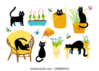 Spring cat set. A large collection of vector cartoon characters in various poses in a simple childish hand-drawn style. Black cute animals have fun, sleep, play.