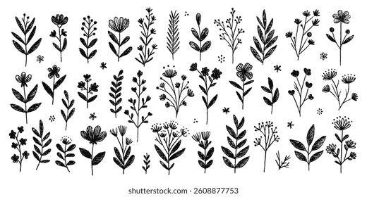 Spring charcoal botanical illustration with hand-drawn wildflowers