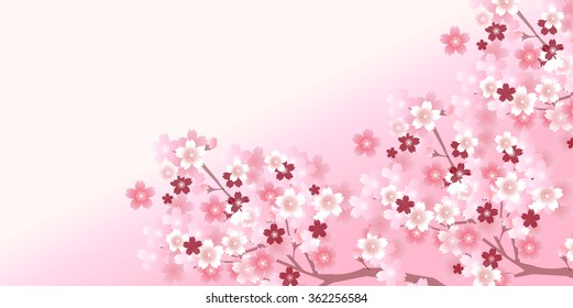 Fondo de flor de cerezo de primavera