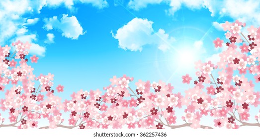 Spring cherry blossom background