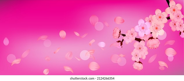 Spring cherry blossom background.  Pink sakura tree branch in springtime with falling flowers petals, vector
