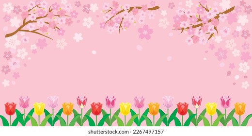 Fondo de flores de cerezo de primavera con flores de tulipán. Ilustración vectorial.
