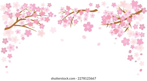 Spring cherry blossom background. Vector illustration.