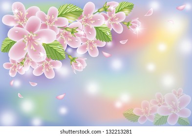 Spring cherry blossom card, vector illustration