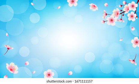 Spring Cherry blossom with falling petals background vector illustration. Sakura branch on blue bokeh background