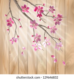 Spring cherry blossom flowers on a wood texture. Floral artistic vector design with beautiful pink cherry (plum) blooming flowers, tree branch, fall petals, sun rays, light effect on a wooden fence