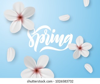 Spring cherry blossom flowers and petals trendy flat lay vector background.