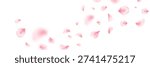 Spring cherry blossom frame. Sakura petal flying composition. Japan flower banner. Cosmetic beauty product. Natural decoration. Spa pink rose bg. Valentine romantic card. Vector illustration.