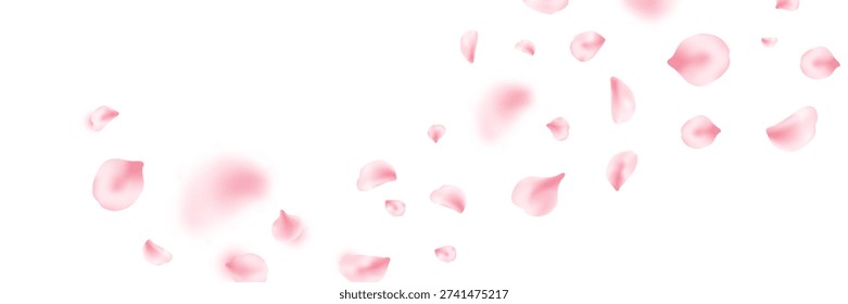 Spring cherry blossom frame. Sakura petal flying composition. Japan flower banner. Cosmetic beauty product. Natural decoration. Spa pink rose bg. Valentine romantic card. Vector illustration.