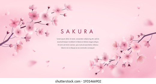 Spring cherry blossom horizontal banner. Vector illustration of realistic blossoming sakura flowers. Floral background for poster, greeting cards, promotional materials, website